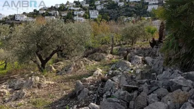 Terreno en venta en Pego - Vista 5