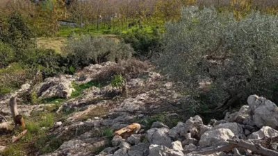 Terreno en venta en Pego - Más