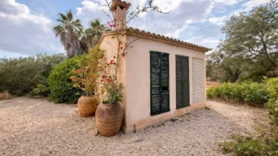 Rustic house in Santanyí photo 12