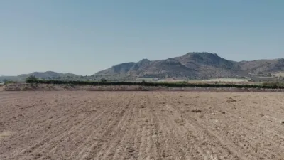 Terreno en venta en Novelda - Vista 3