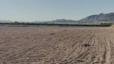 Terreno en venta en Novelda - Vista 5