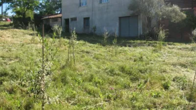 House in A Ponte photo 15