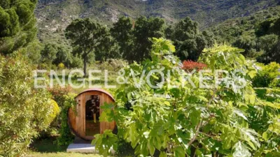 Chalet in Les Torroelles photo 43