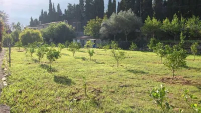 Rustic house on the street photo 10