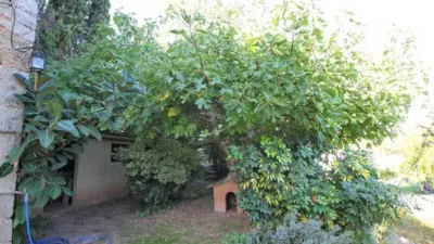 Rustic house on the street photo 7