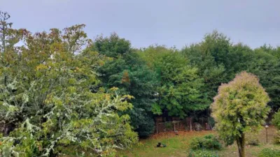 Chalet en Ourense Capital photo 8