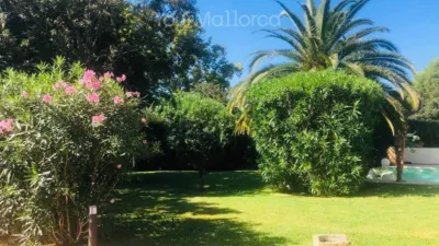 Chalet in Son Servera photo 13