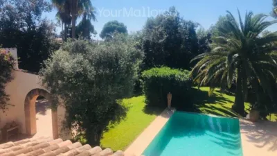 Chalet in Son Servera photo 20