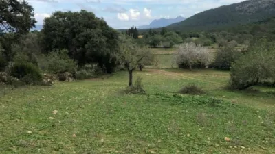 Chalet en Pollença photo 5