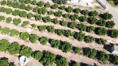 Terreno en venta en Orba - Vista 2