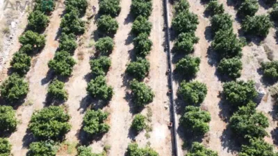 Terreno en venta en Orba - Vista 3
