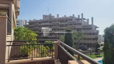 Pis – Elx - Elche - Vista 5