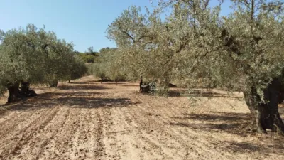 Rustic finca in Horta de Sant Joan photo 10