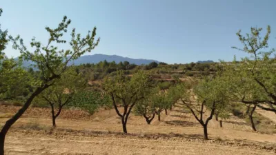 Rustic finca in Horta de Sant Joan photo 11