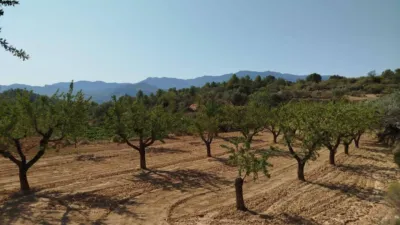 Rustic finca in Horta de Sant Joan photo 12