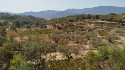 Rustic finca in Horta de Sant Joan photo 13