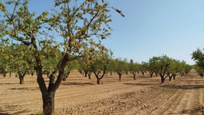 Rustic finca in Horta de Sant Joan photo 14