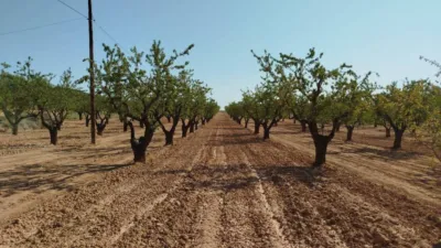 Rustic finca in Horta de Sant Joan photo 15