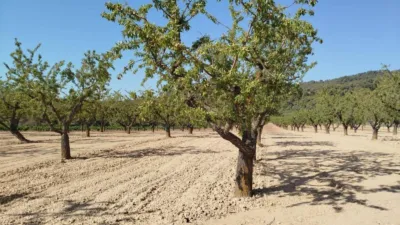 Rustic finca in Horta de Sant Joan photo 16