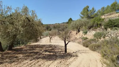 Rustic finca in Horta de Sant Joan photo 5