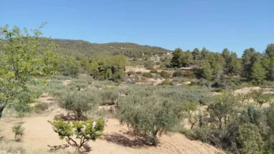 Rustic finca in Horta de Sant Joan photo 6