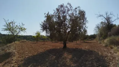 Rustic finca in Horta de Sant Joan photo 7