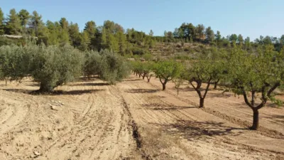 Rustic finca in Horta de Sant Joan photo 8