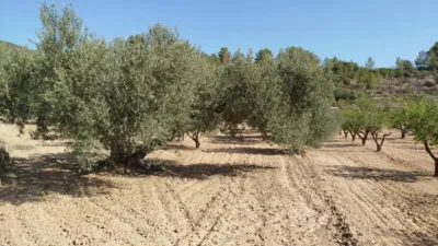 Rustic finca in Horta de Sant Joan photo 9