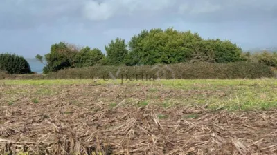 Terreno en venta en Boiro - Vista 4