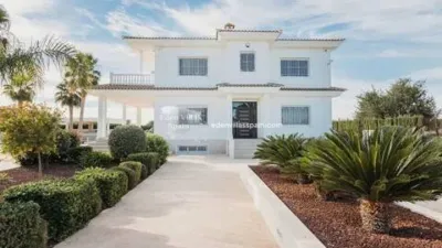 Chalet in Torrellano-Valverde-Business Park photo 106