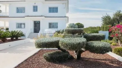 Chalet in Torrellano-Valverde-Business Park photo 108