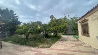 Detached House in La Condomina photo 35