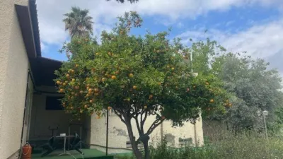 Casa – Alicante - Alacant - Más