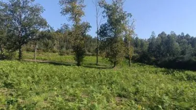 Terreno en venta en Coirós de Arriba - Vista 2