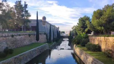 Apartment in Palma de Mallorca photo 9