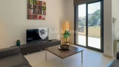House in Santa Susanna photo 16