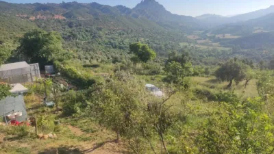 Rustic farm in Horta de Sant Joan photo 10