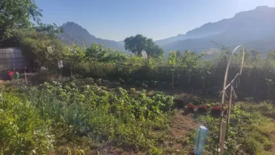 Rustic farm in Horta de Sant Joan photo 12