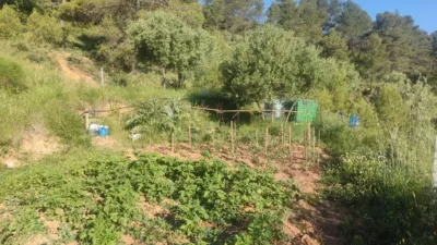 Rustic farm in Horta de Sant Joan photo 3