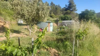 Rustic farm in Horta de Sant Joan photo 4