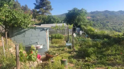 Rustic farm in Horta de Sant Joan photo 6