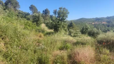 Rustic farm in Horta de Sant Joan photo 8