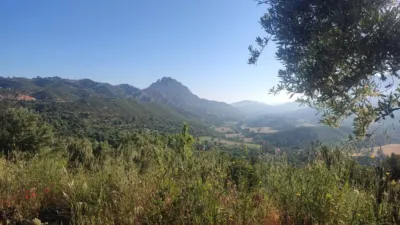 Rustic farm in Horta de Sant Joan photo 9