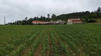 Terreno en venta en Carballo (Carballo) - Vista 5