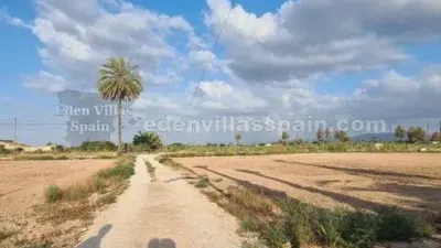 Piso – Elx / Elche, la Marina - Vista 5