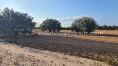 Piso – Elx / Elche, la Marina - Más
