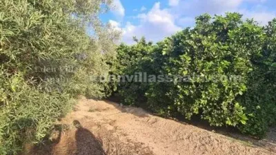 Rustic property in Matola-La Foia-Las Bayas-La Marina photo 7