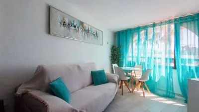 Apartment on Avenida Rafael Puig Llivina, No. 32 photo 14