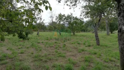 House in San Cristovo de Cea photo 3