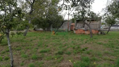 House in San Cristovo de Cea photo 5